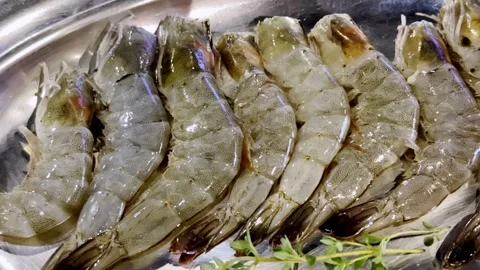 Close Up BBQ Shrimp Grilling on Hot Pan Stock Footage 340413532