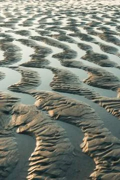 Close up of beach with beautiful sunlight Stock Photos