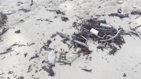 Close up of beach pollution with plastic trash and driftwood on tropical Видео 333113637