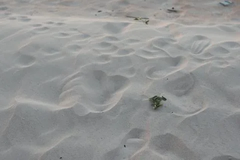 Close Up of Beach Sand With Footprints Stock Photos