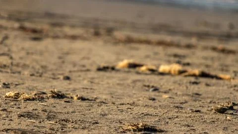 Close up to beach sand Stock Photos