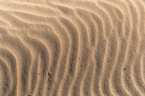 Close-up of beach sand with waves made by the wind. Stock Photos