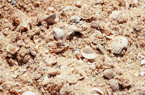 Close Up beach from small pieces of seashells and sand. Waves at the seaside. Stock Photos