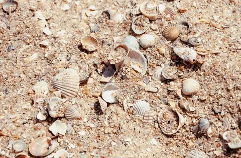 Close Up beach from small pieces of seashells and sand. Waves at the seaside. Foto stock