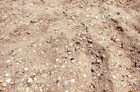 Close Up beach from small pieces of seashells and sand. Waves at the seaside. Stock Photos