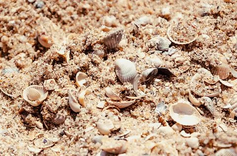 Close Up beach from small pieces of seashells and sand. Waves at the seaside. Stock Photos