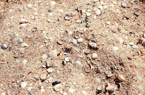 Close Up beach from small pieces of seashells and sand. Waves at the seaside. Foto stock