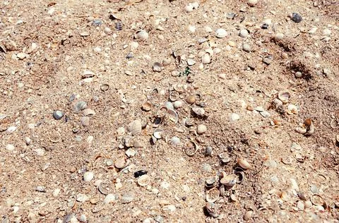 Close Up beach from small pieces of seashells and sand. Waves at the seaside. Foto stock