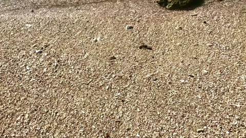 Close-up of beach waves breaking on golden sandy beach. Stock Footage 295567548