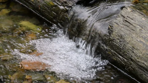 Close-up beam in a small mountain river Stock Footage 100266172