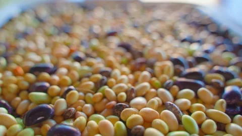 Close-up of beans of different varieties and colors, smooth camera movement Stock Footage 256016410