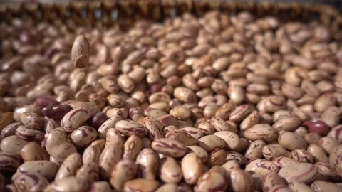 Close up on beans falling in the basket- slow motion Stock Footage 77338637