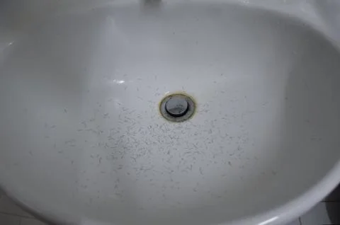 Close up beard and mustache in basin when shaving Stock Photos