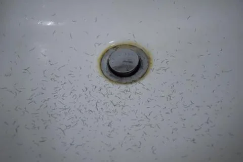 Close up beard and mustache in basin when shaving Stock Photos