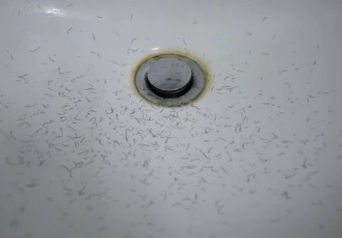 Close up beard and mustache in basin when shaving Stock Photos