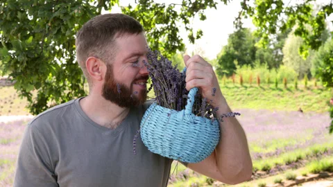 Close up of bearded smiling man with basket of lavender in summer. Stock Footage 157592497