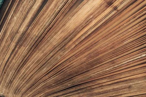 Close up beautiful ancient book pattern background for design. The book is in Stock Photos