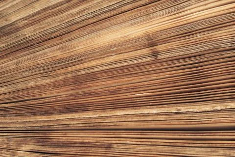 Close up beautiful ancient book pattern background for design. The book is in Foto stock