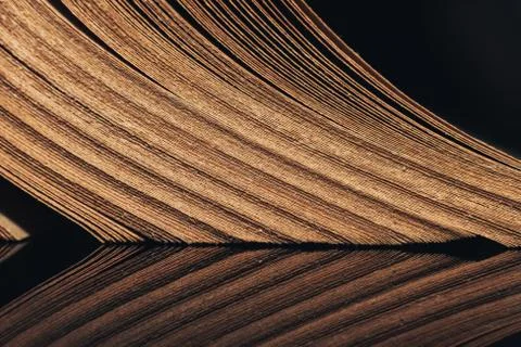 Close up beautiful ancient book pattern background for design. The book on a  Stock Photos
