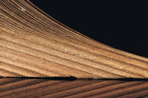 Close up beautiful ancient book pattern background for design. The book on a  Stock Photos