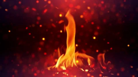 Close up Beautiful burning fire with scattered sparks. 4K Stock Footage 287921167