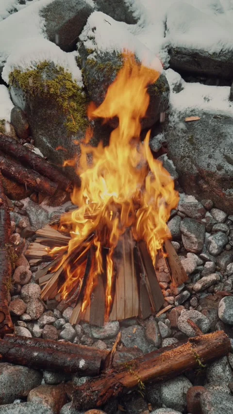 Close-Up of Beautiful Campfire Flames in Winter Forest – Vertical Video Stock Footage 311945756