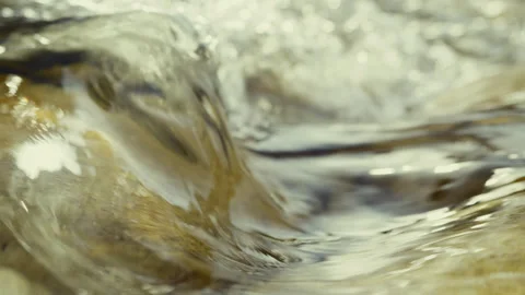 Close up of beautiful clean and clear river water current Stock Footage 345544528