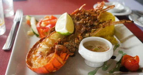 Close up of beautiful cooked and grilled lobster, French (Antilles) style Vídeos de archivo 103297368