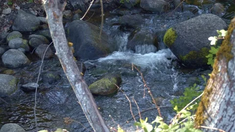 Close Up Of A Beautiful Flowing Creek Stock Footage 154385237