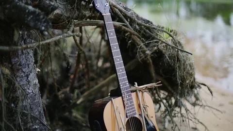 Close up. Beautiful guitar is an old stump with roots. Video stock 70554114