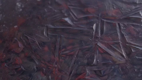 Close-up of beautiful ice patterns on a freezing lake with colorful Stock Footage 116855994