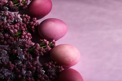 Close-up of beautiful lilac Easter eggs with blooming lilac branches. Easter Stock Photos