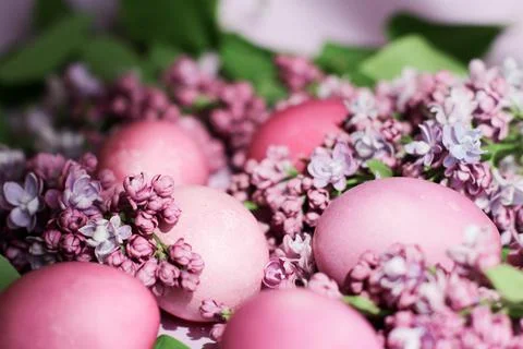 Close-up of beautiful lilac Easter eggs with blooming lilac branches. Easter Stock Photos