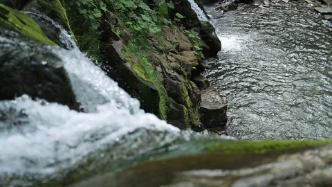Close up beautiful mountain stream in the forest cascade fresh green landscape Stock Footage 99371029