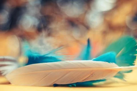 Close up Beautiful multi-colored Bird feather on a bokeh.  Pattern background Foto stock