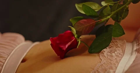 Close up of a beautiful red rose sensually caresses the slim belly of a Stock-Footage 279529251