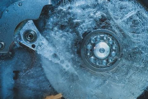 Close up Beautiful red trends bird  feather pattern texture background. Macro Stock Photos