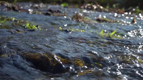 Close-up beautiful river flow in nature Stock Footage 140774986