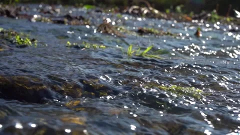 Close-up beautiful river flow in nature Stock Footage 140901309