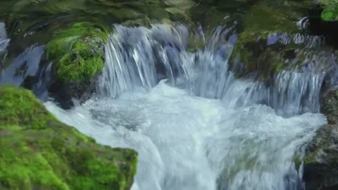 Close-up of beautiful river with rocks covered with moss and flowing water Stock Footage