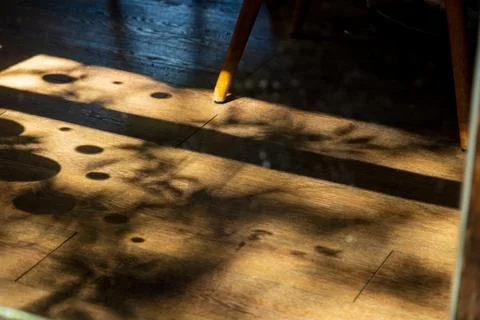 A close-up of the beautiful shadows and light of the trees filtering throug.. Stock-Fotos