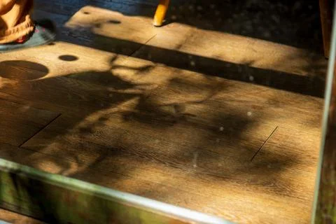 A close-up of the beautiful shadows and light of the trees filtering throug.. 스톡 사진