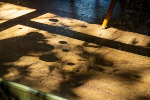 A close-up of the beautiful shadows and light of the trees filtering throug.. Fotos Stock