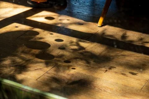 A close-up of the beautiful shadows and light of the trees filtering throug.. Stock-Fotos