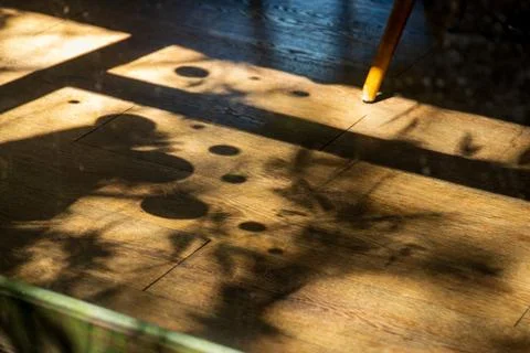 A close-up of the beautiful shadows and light of the trees filtering throug.. 스톡 사진