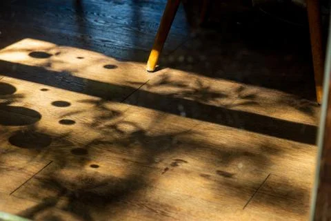 A close-up of the beautiful shadows and light of the trees filtering throug.. Fotos de archivo