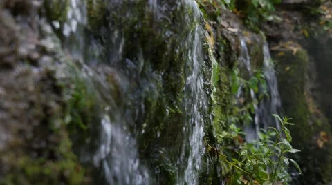 Close up of beautiful small waterfall falls on green plant, 4k shot Stock-Footage 67237477