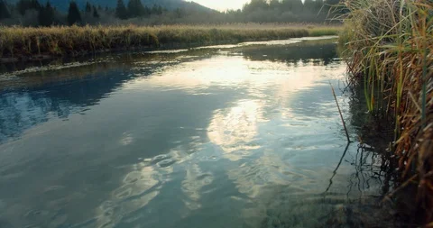 Close up of a beautiful stream flowing trugh gras in a sunset Video stock 129408272