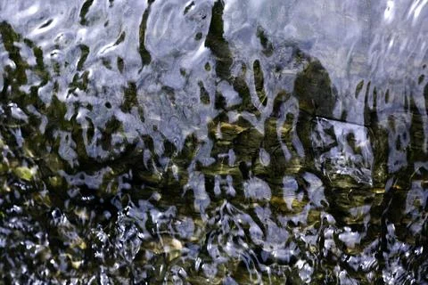 Close up beautiful tree bark texture Stock Photos