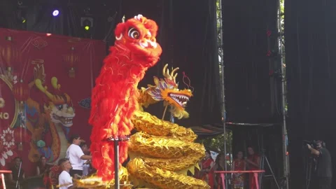 A close-up of the beautifully decorated dragon Stock Footage 291553572
